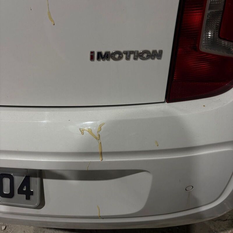 Imagem da publicação