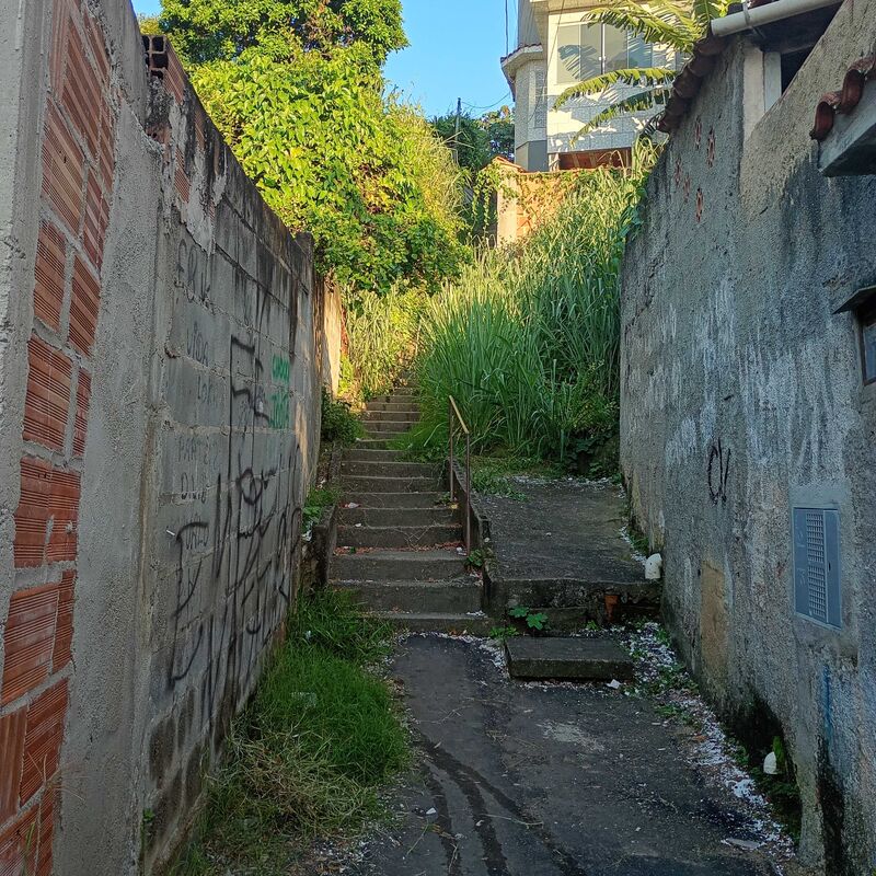 Imagem da publicação