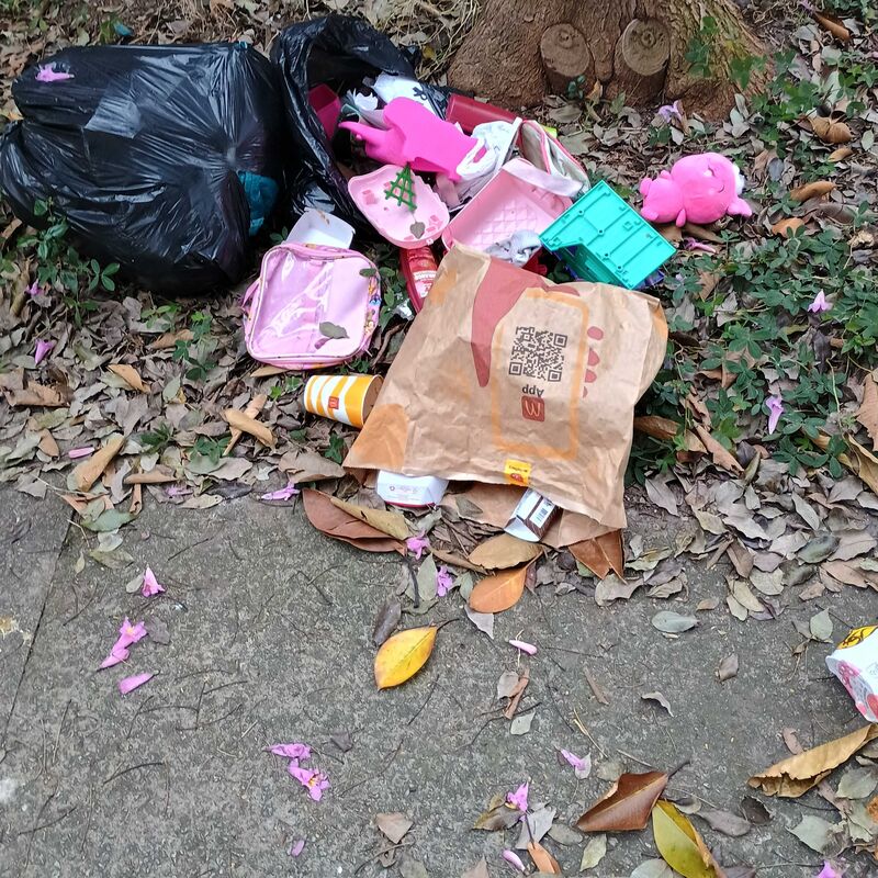 Imagem da publicação