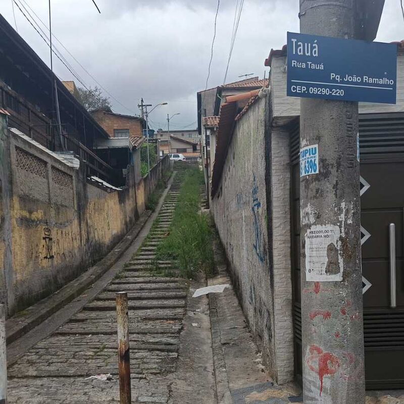 Imagem da publicação