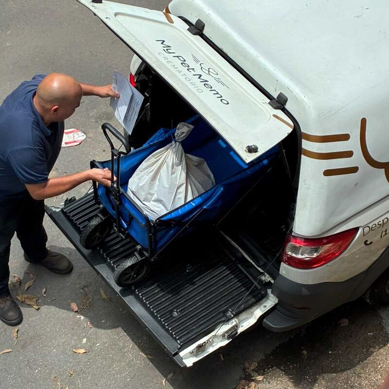 Imagem da publicação
