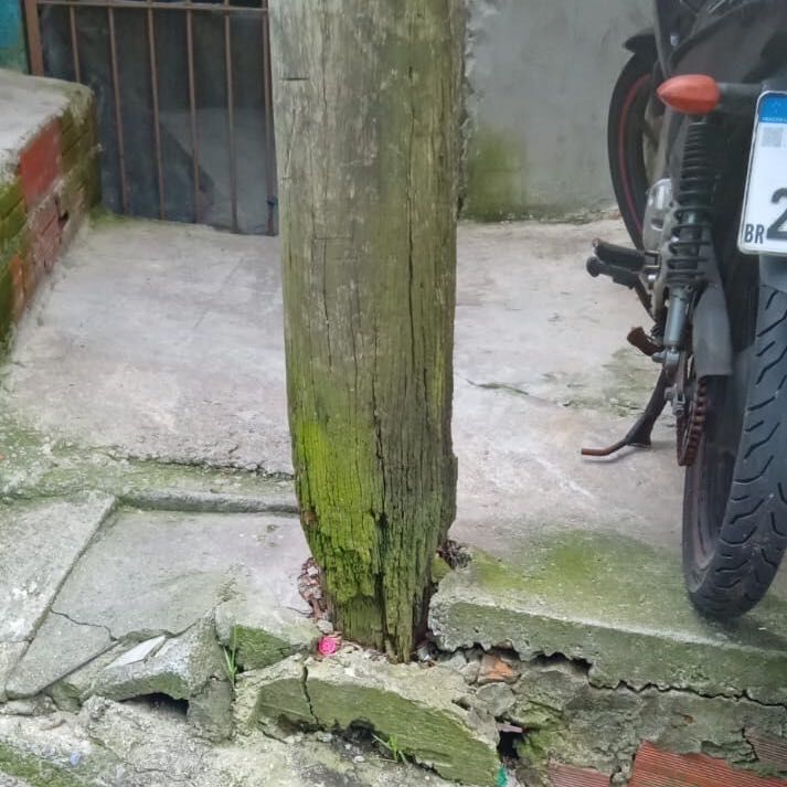 Imagem da publicação