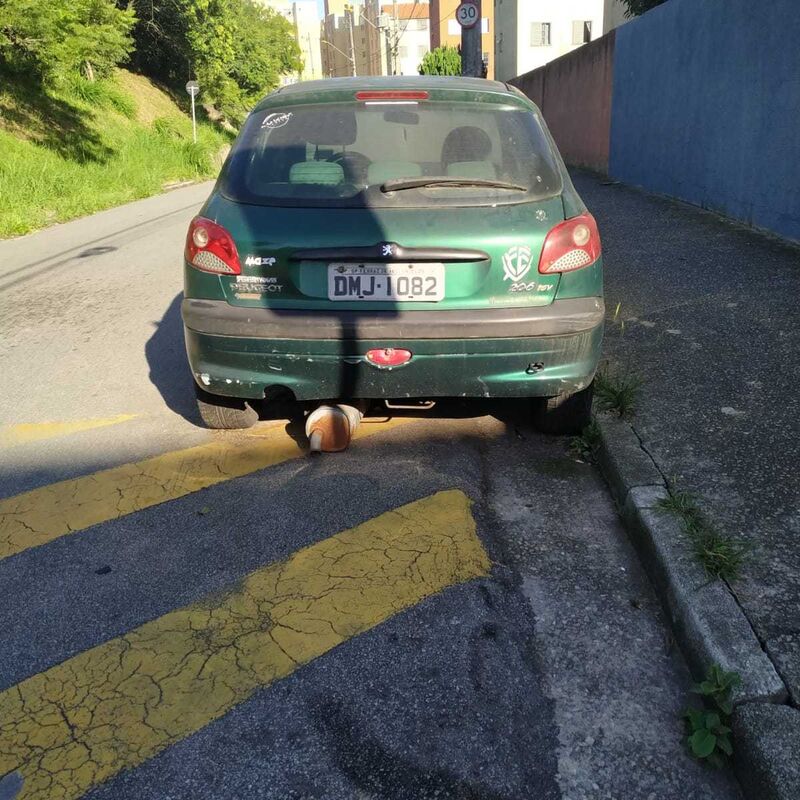 Imagem da publicação