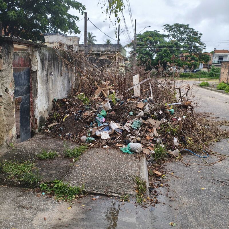 Imagem da publicação