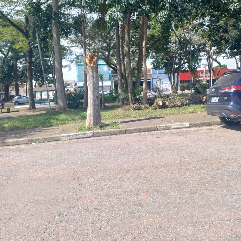 Imagem da publicação