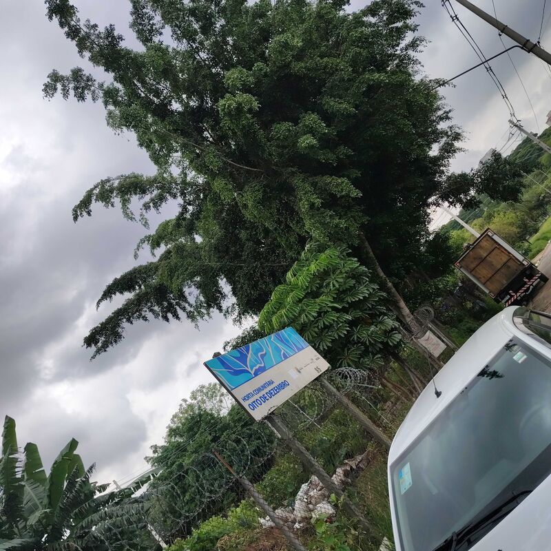 Imagem da publicação