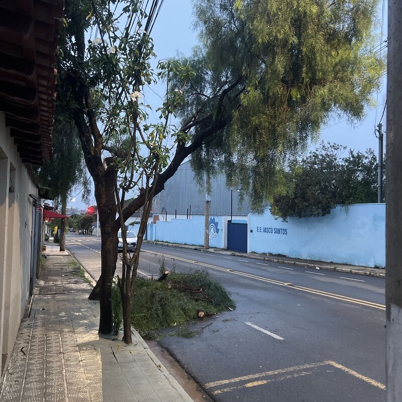 Imagem da publicação