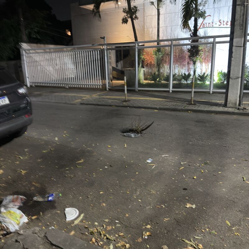 Imagem da publicação