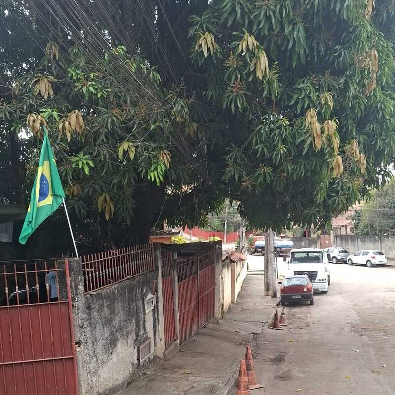 Imagem da publicação