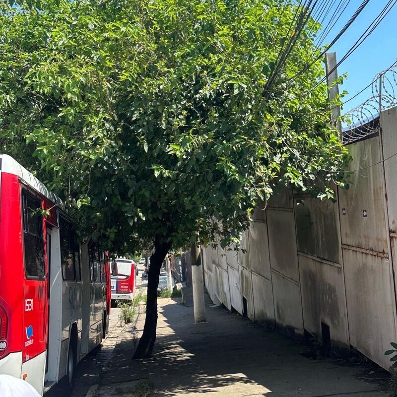 Imagem da publicação