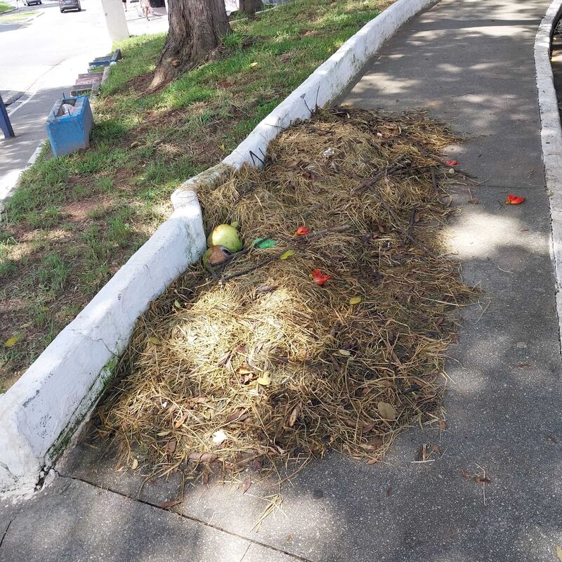 Imagem da publicação