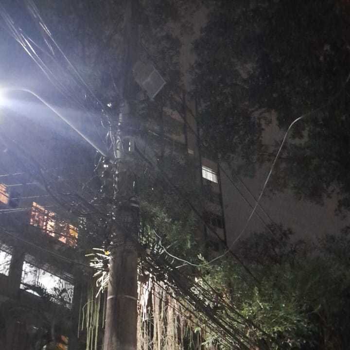 Imagem da publicação