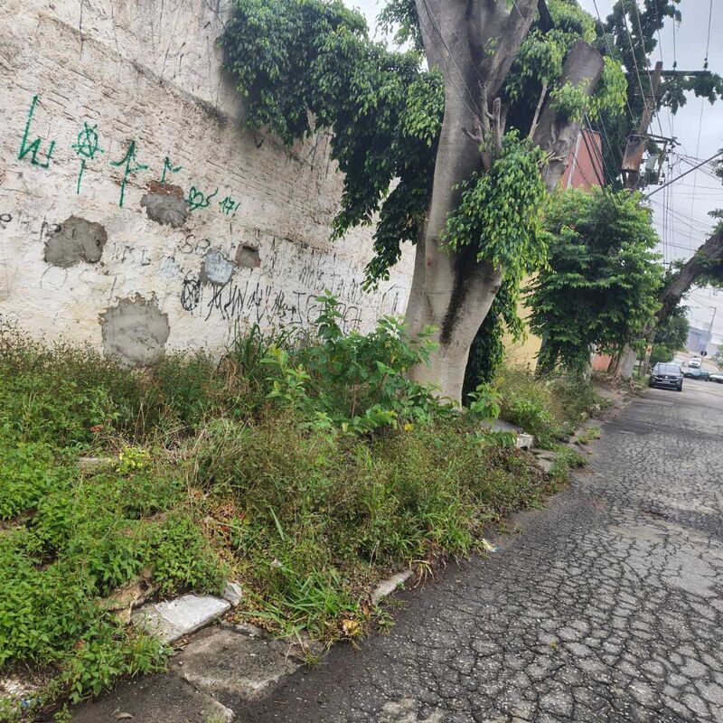 Imagem da publicação