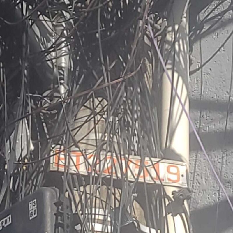 Imagem da publicação