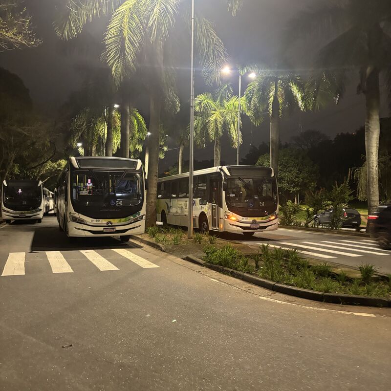 Imagem da publicação