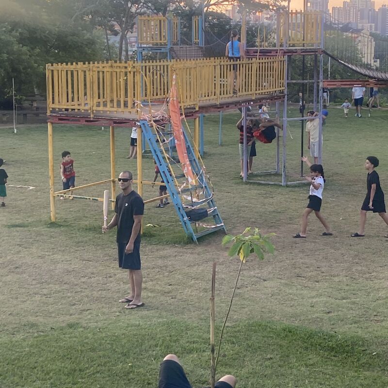 Imagem da publicação