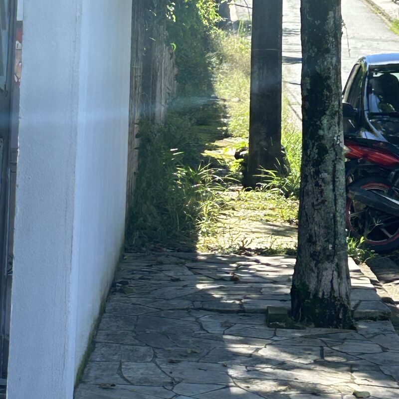 Imagem da publicação