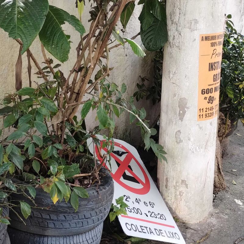 Imagem da publicação