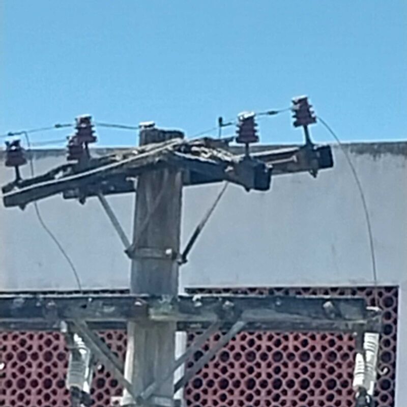 Imagem da publicação