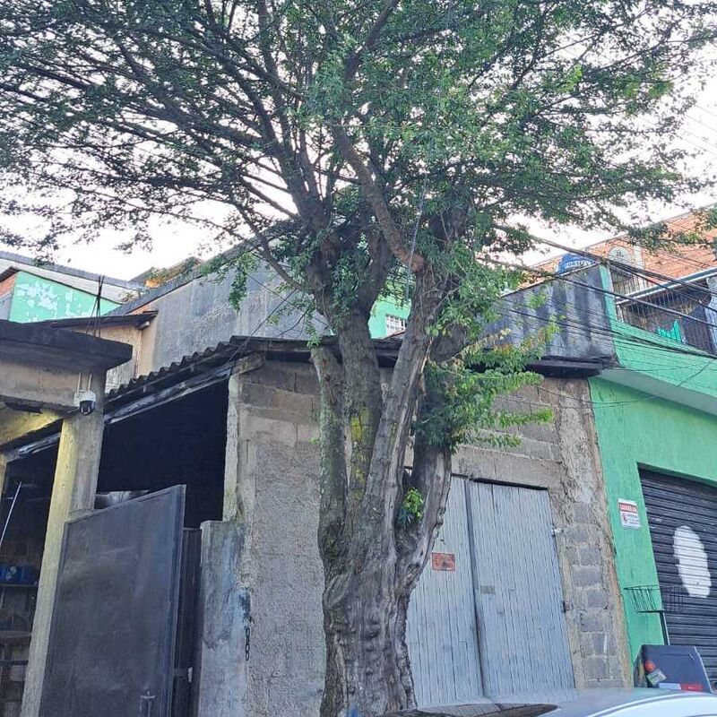 Imagem da publicação