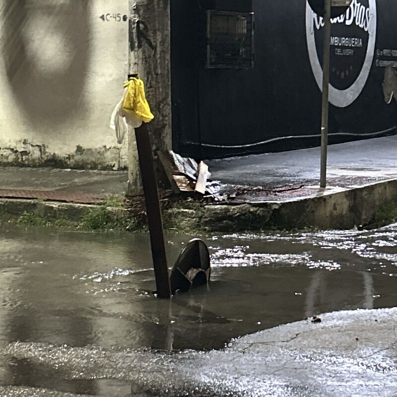 Imagem da publicação