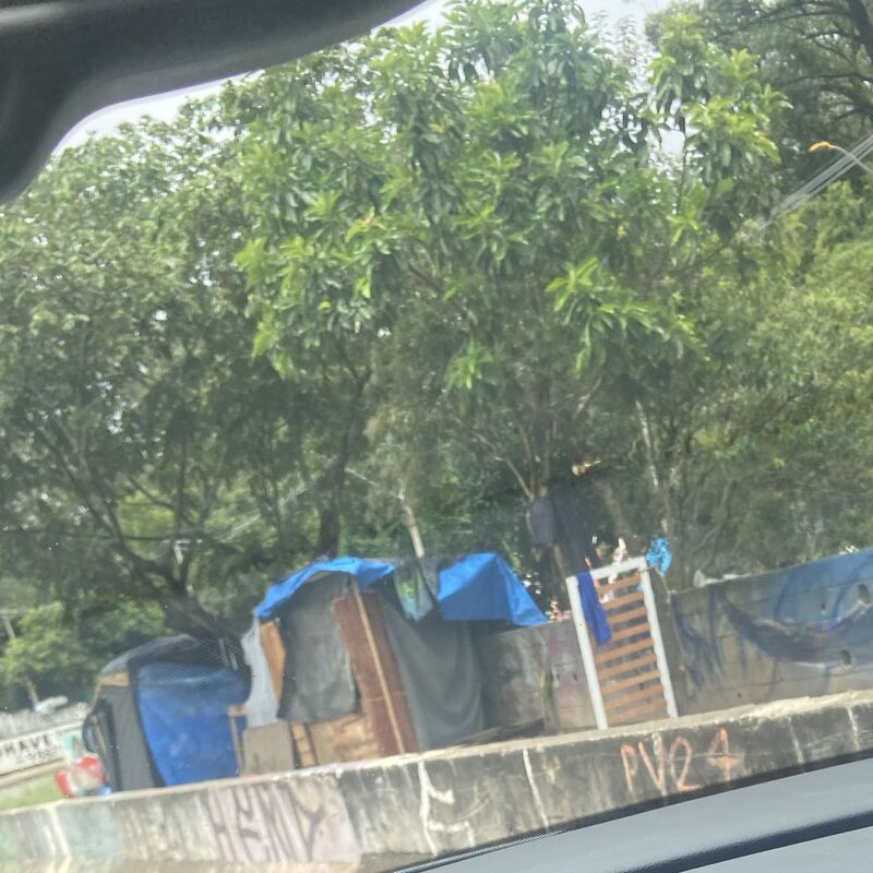 Imagem da publicação