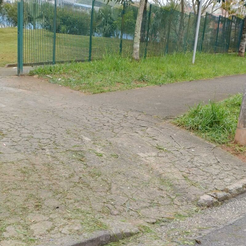 Imagem da publicação