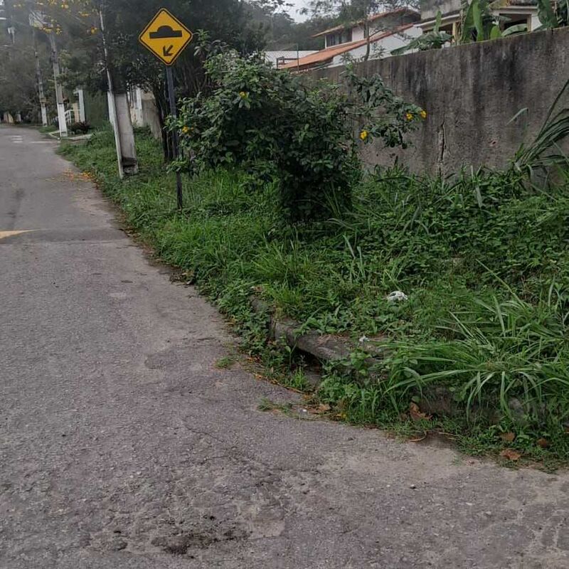 Imagem da publicação
