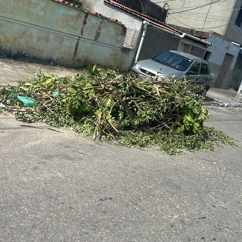 Imagem da publicação