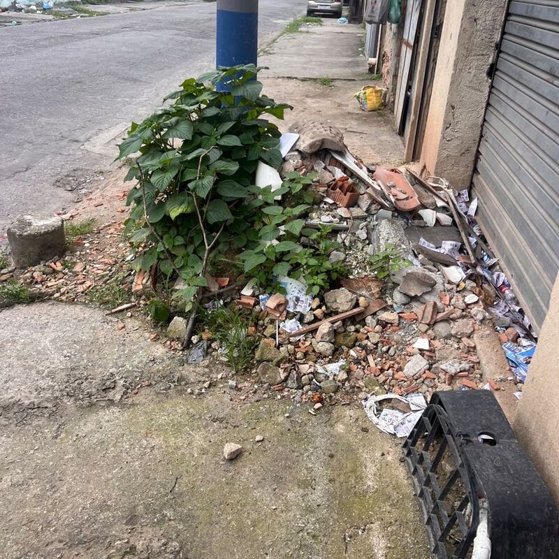 Imagem da publicação
