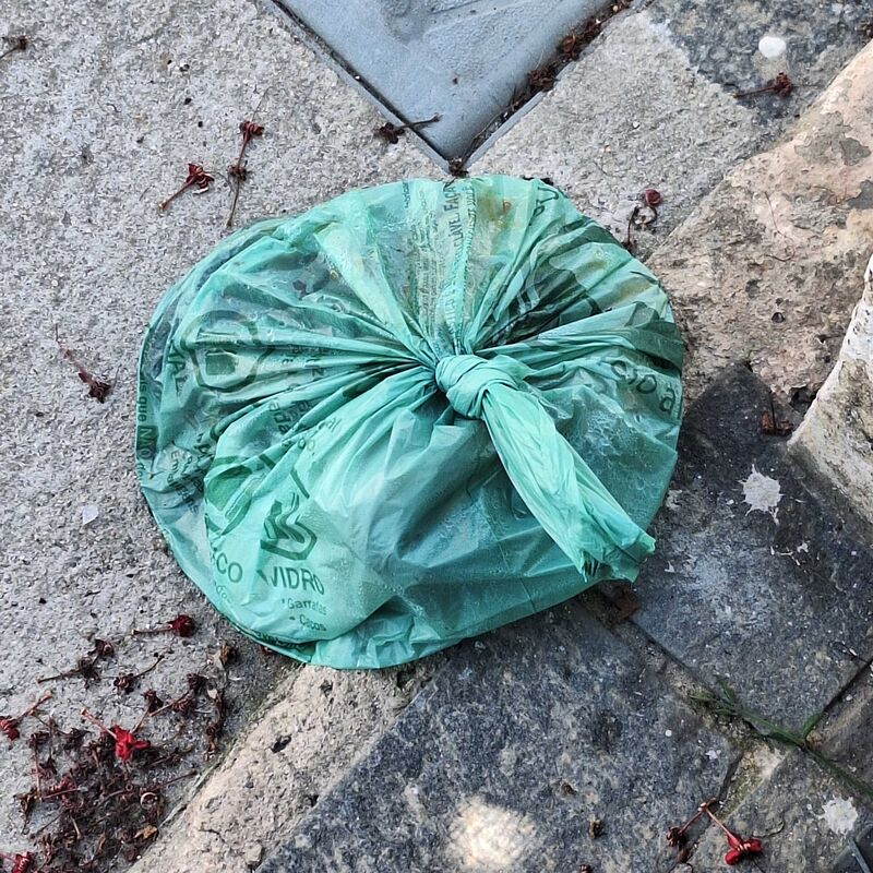 Imagem da publicação