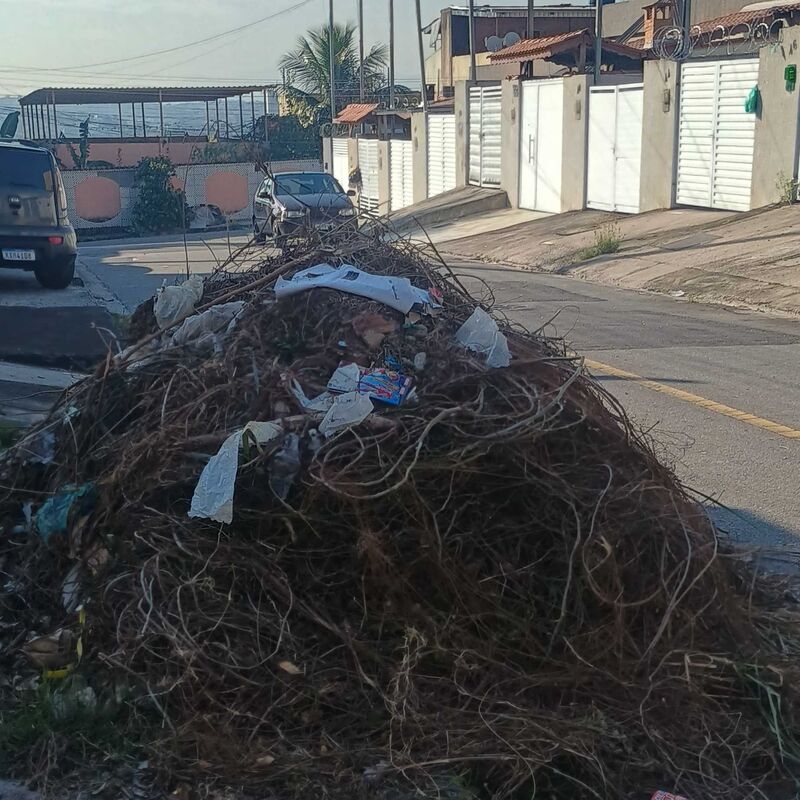 Imagem da publicação