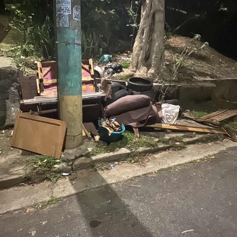 Imagem da publicação