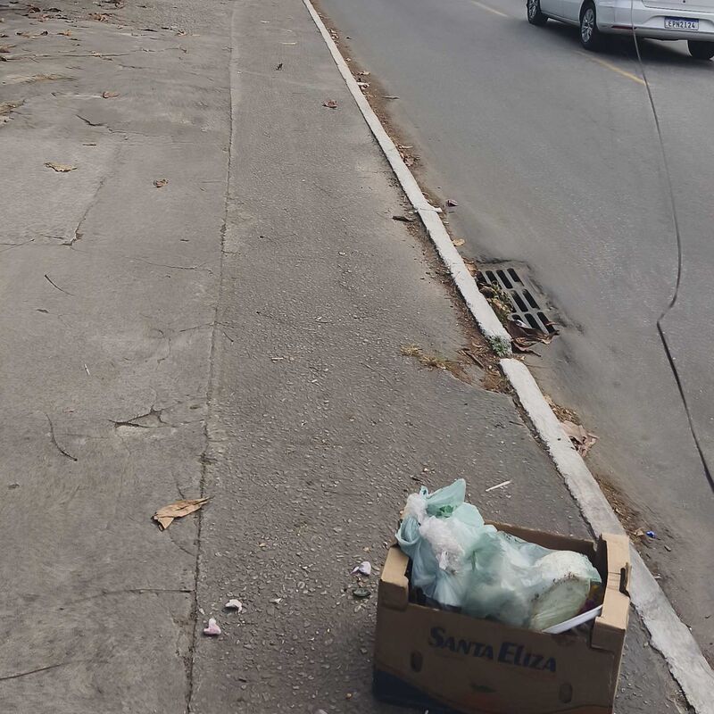 Imagem da publicação