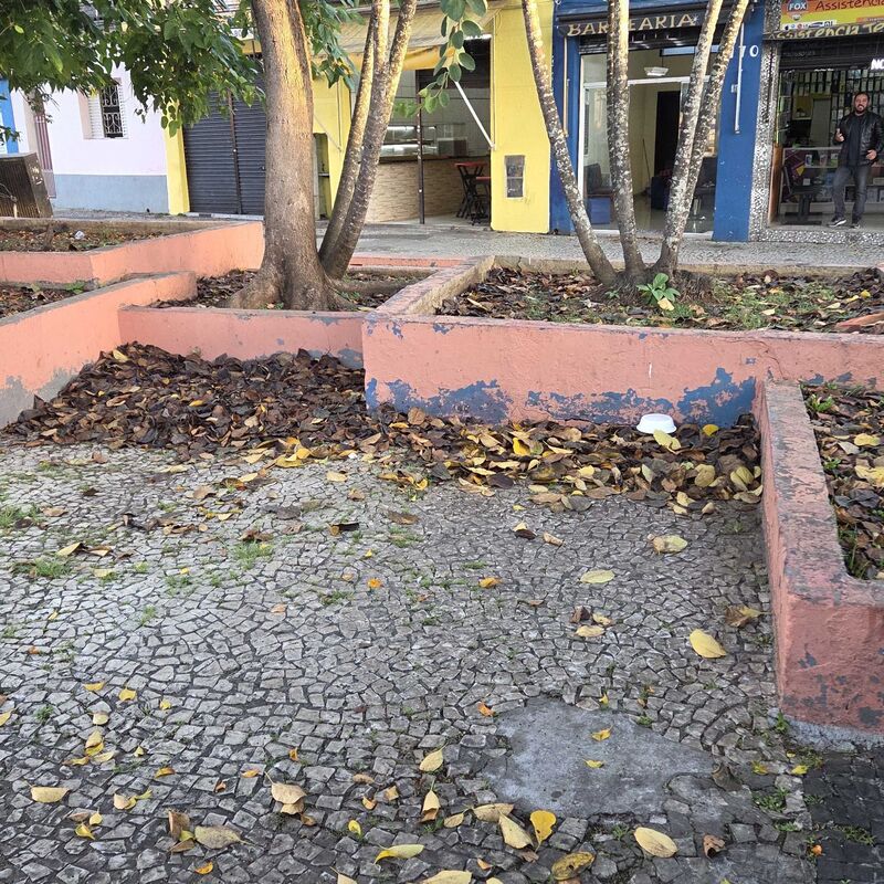 Imagem da publicação