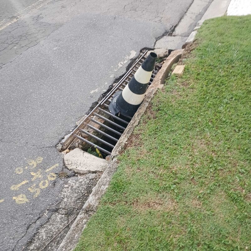 Imagem da publicação