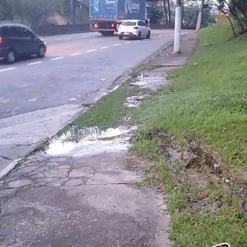Imagem da publicação