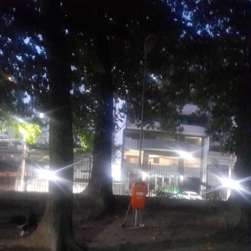 Imagem da publicação