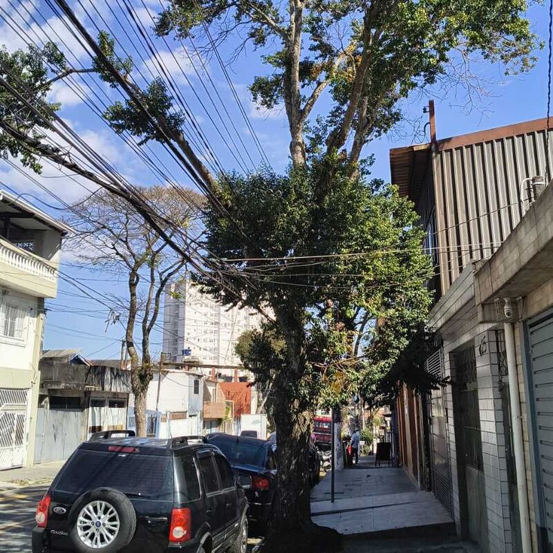 Imagem da publicação
