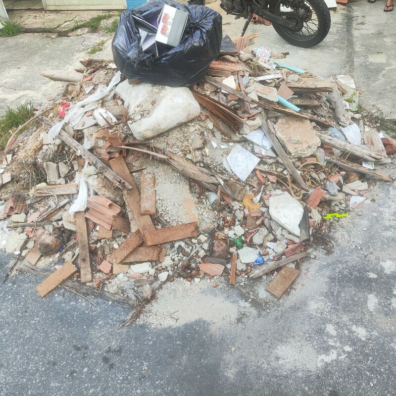 Imagem da publicação