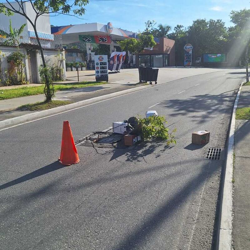 Imagem da publicação