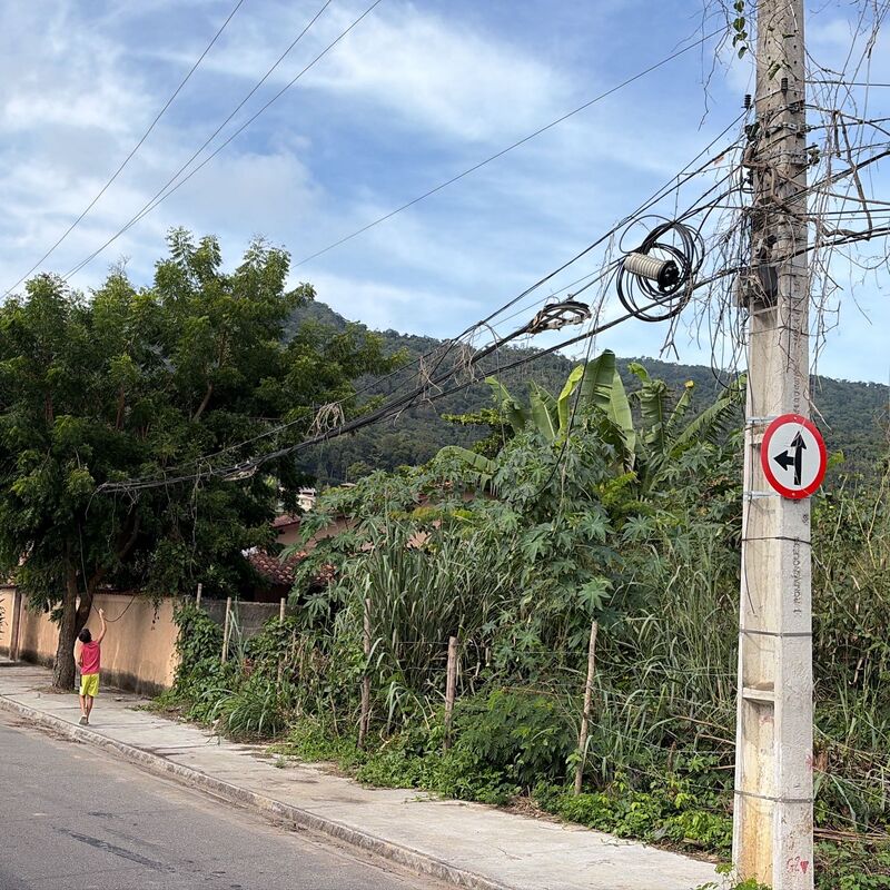 Imagem da publicação