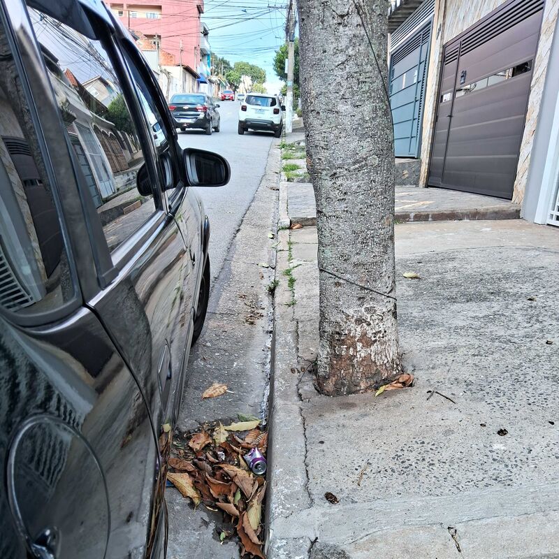 Imagem da publicação