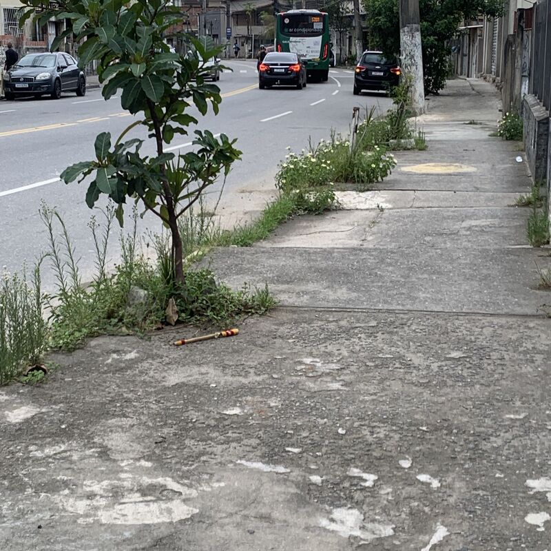 Imagem da publicação