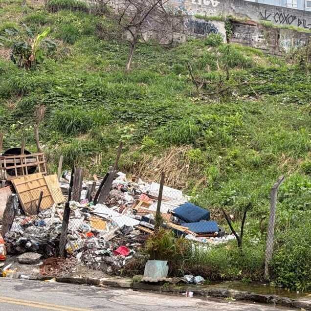 Imagem da publicação