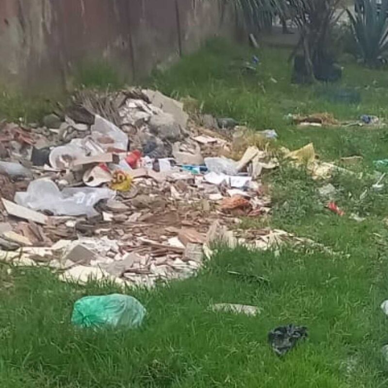 Imagem da publicação