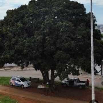 Imagem da publicação