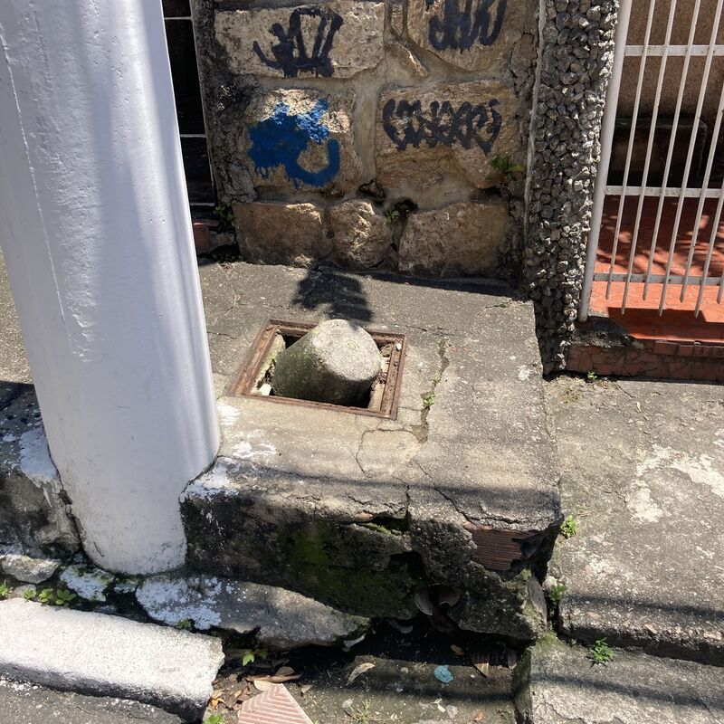 Imagem da publicação