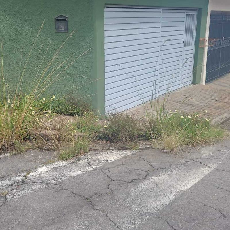 Imagem da publicação