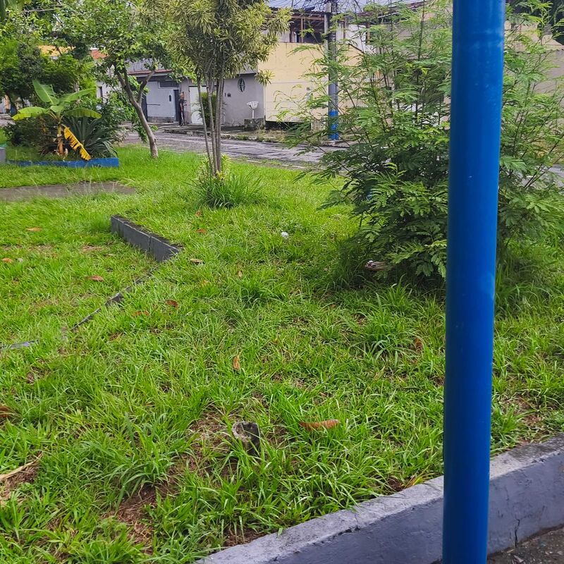 Imagem da publicação